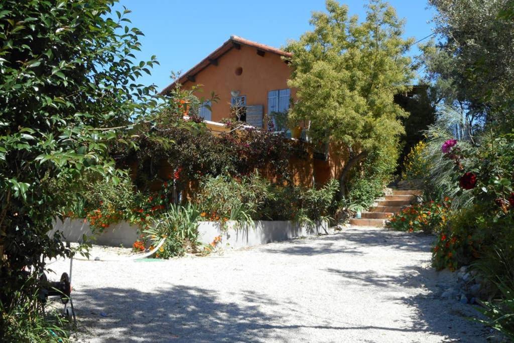 La Jovine Sur Les Hauteurs De Cassis T2 Classe Buitenkant foto